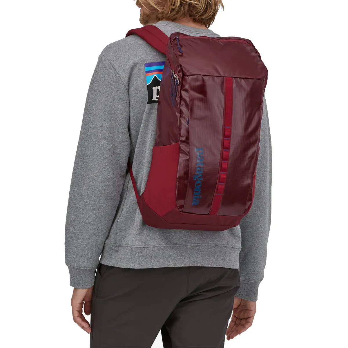 Patagonia Black Hole Backpack - 25L